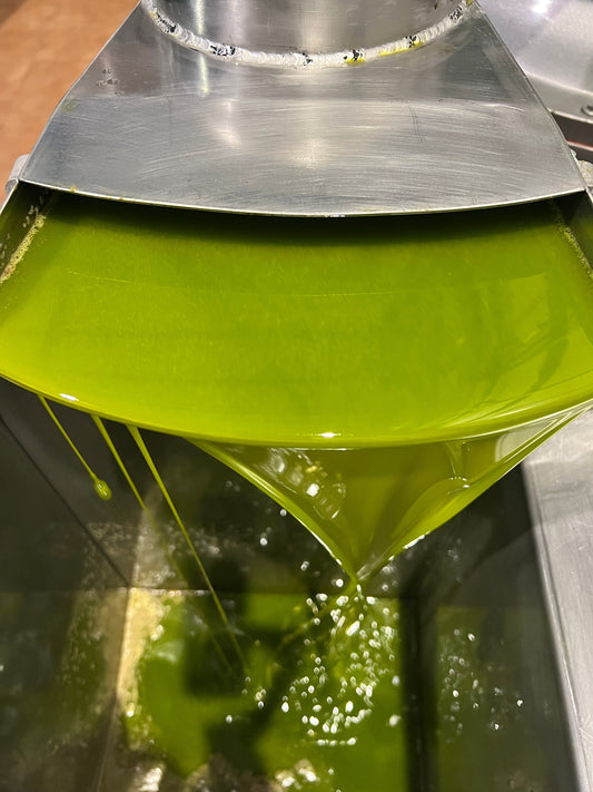 Aceite de oliva verde: por qué es el más sano (y cómo elegir uno bueno)