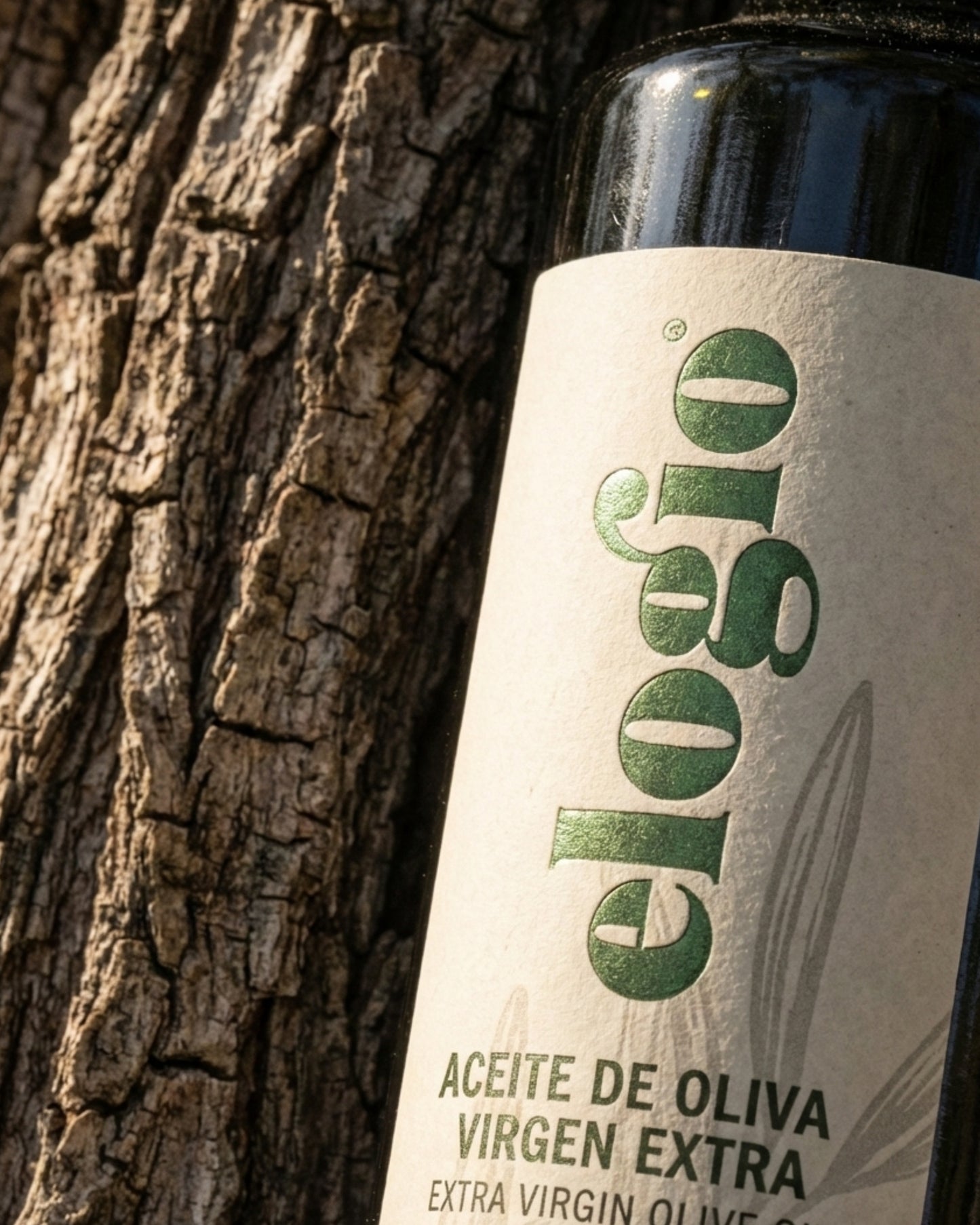 Detalle de la botella de AOVE Elogio Tradicional 500 ml