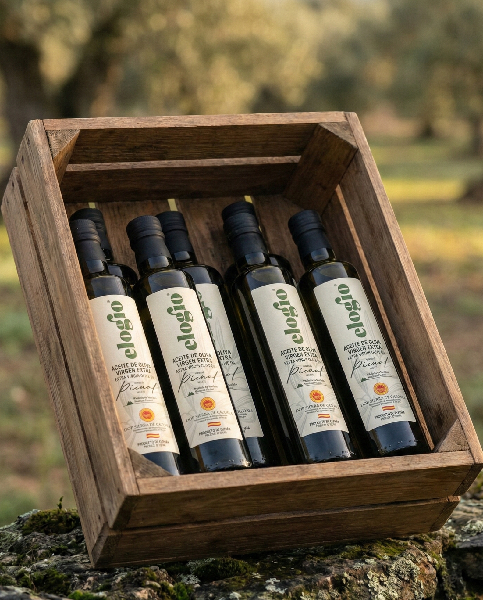 Caja de 6 botellas de aceite de oliva virgen extra Elogio Tradicional 500 ml