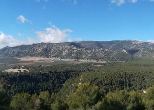 Foto de Olivar en la Sierra de Cazorla