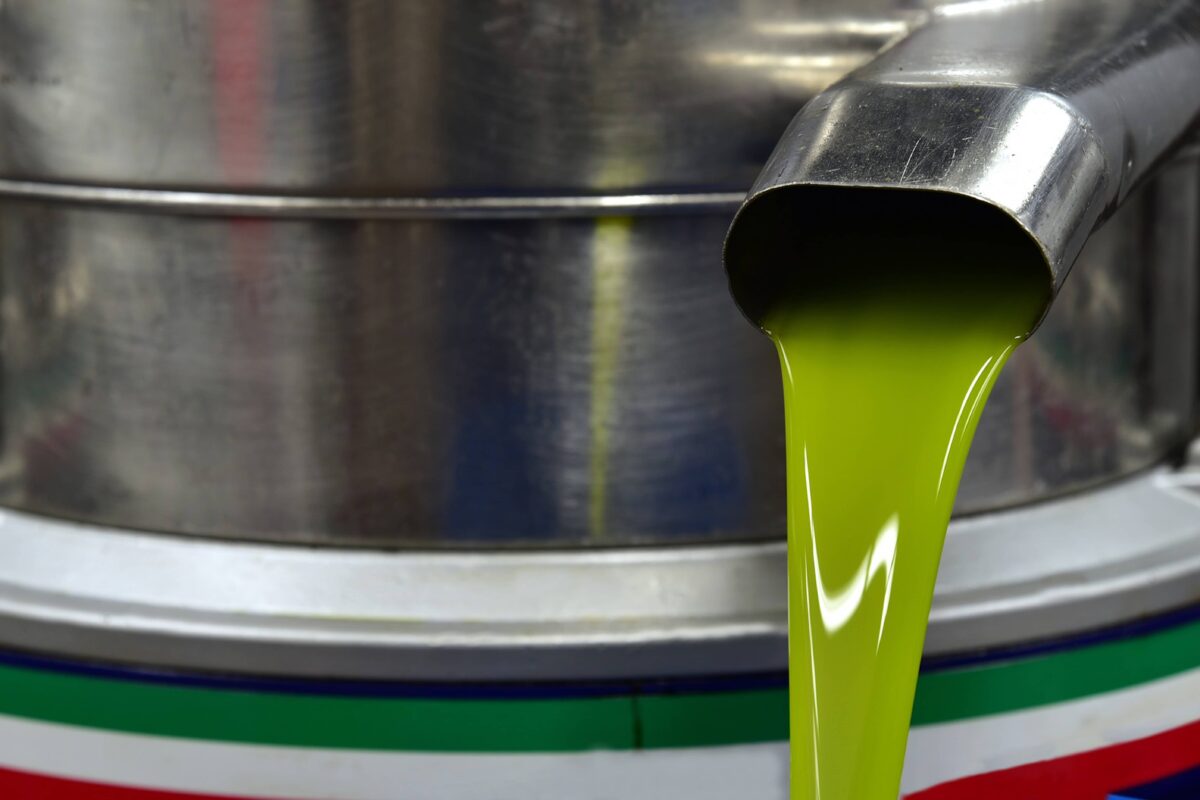 Decantador de extracción de aceite verde Elogio premium
